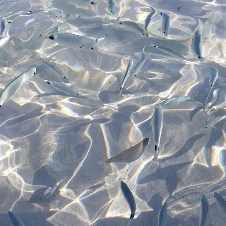 Golf & Sea Is Molas Apartment