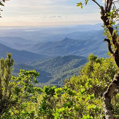 Golf & Sea Is Molas *